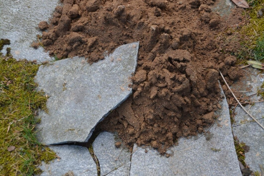 Soil Stabilization in Avon Park