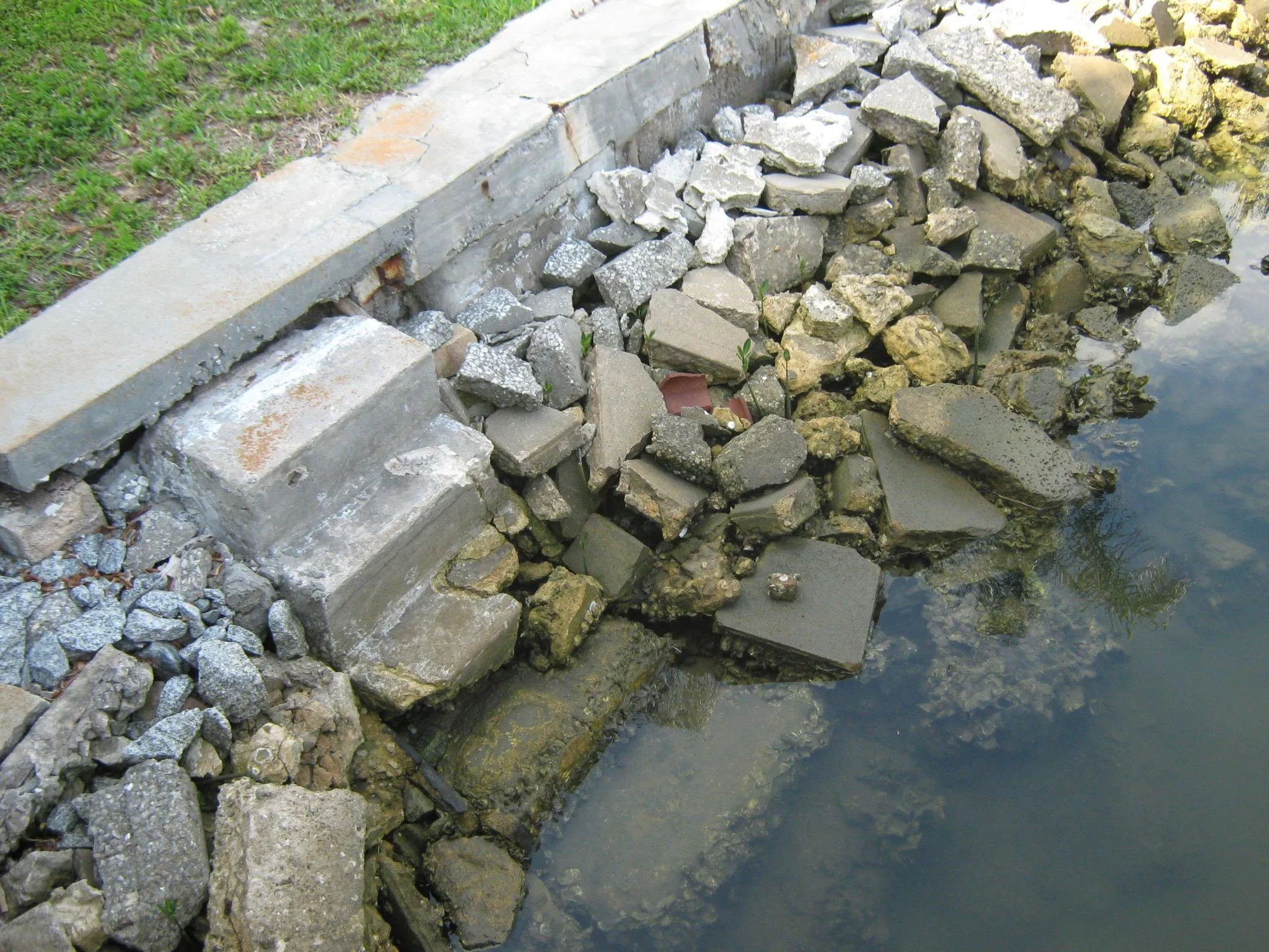 Seawall Repair in Avon Park